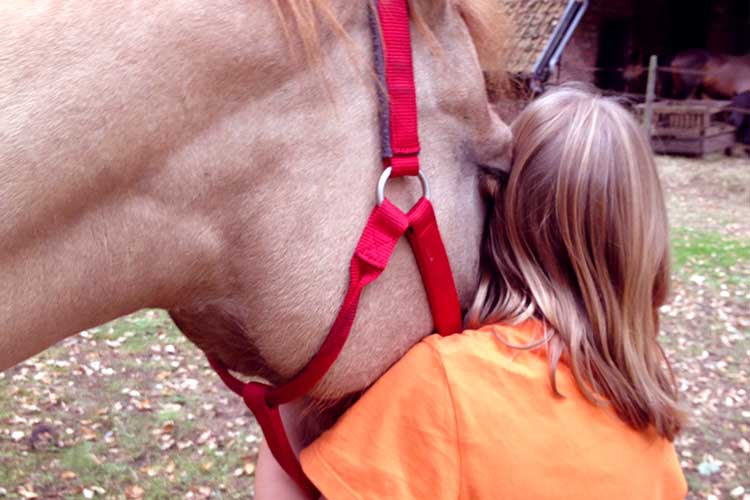 Natuurbeleving soulhorses paarden