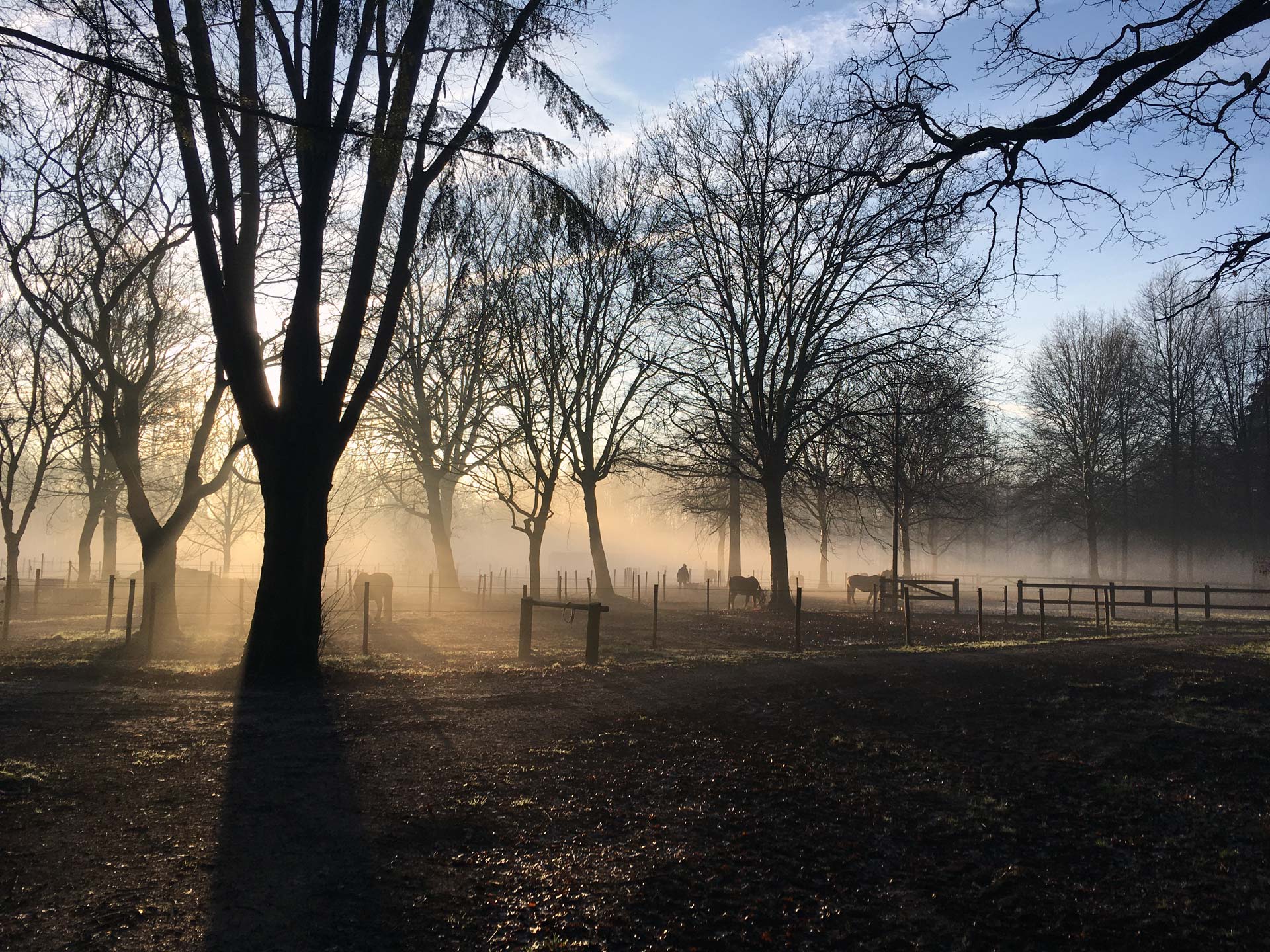 Wie zijn Soulhorses vzw natuurboerderij met paarden