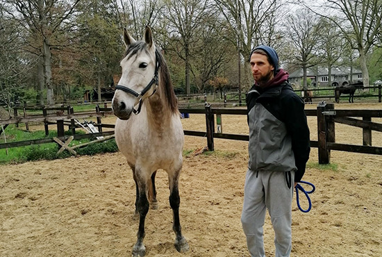 Erwin en Herrador tiener groepstraject soulhorses